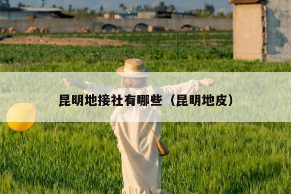 昆明地接社有哪些（昆明地皮）