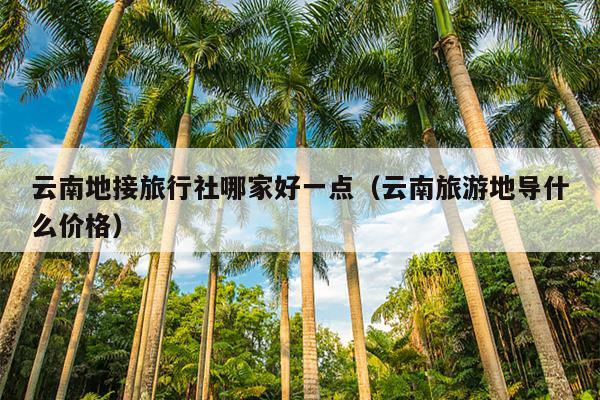 云南地接旅行社哪家好一点（云南旅游地导什么价格）