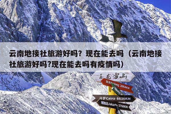 云南地接社旅游好吗？现在能去吗（云南地接社旅游好吗?现在能去吗有疫情吗）