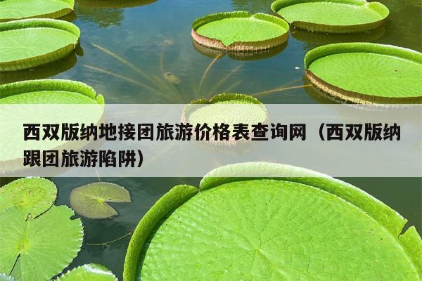 西双版纳地接团旅游价格表查询网（西双版纳跟团旅游陷阱）