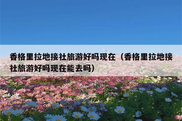 香格里拉地接社旅游好吗现在（香格里拉地接社旅游好吗现在能去吗）