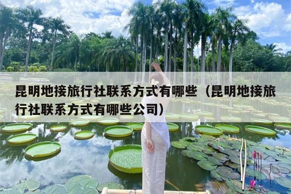 昆明地接旅行社联系方式有哪些（昆明地接旅行社联系方式有哪些公司）