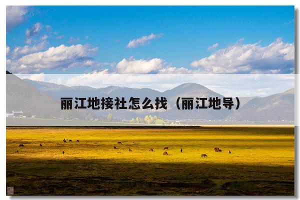 丽江地接社怎么找（丽江地导）
