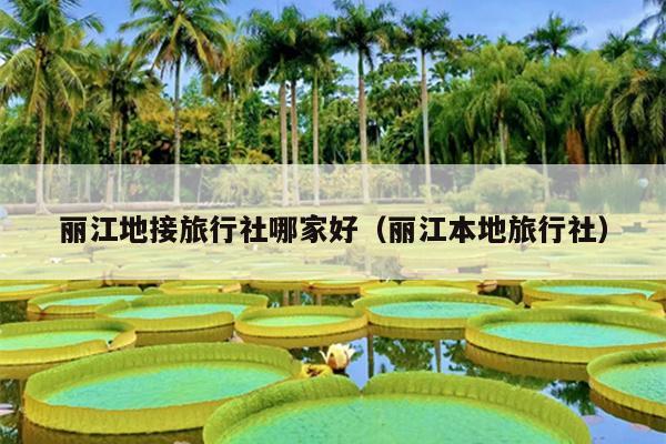 丽江地接旅行社哪家好（丽江本地旅行社）