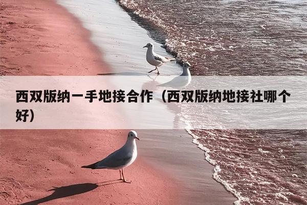 西双版纳一手地接合作（西双版纳地接社哪个好）