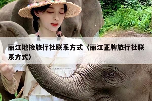 丽江地接旅行社联系方式（丽江正牌旅行社联系方式）