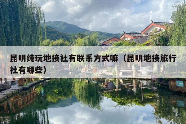 昆明纯玩地接社有联系方式嘛（昆明地接旅行社有哪些）