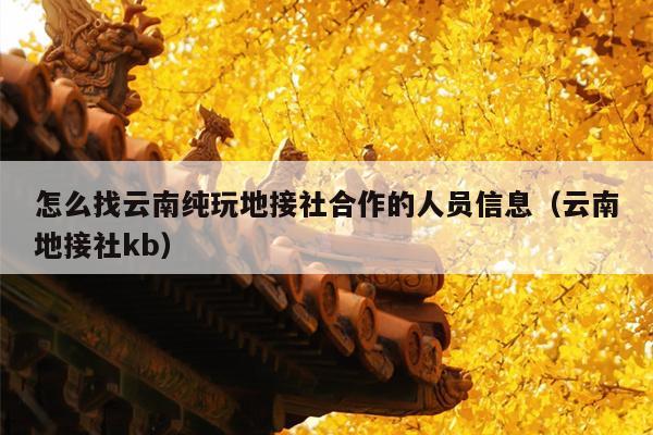怎么找云南纯玩地接社合作的人员信息（云南地接社kb）