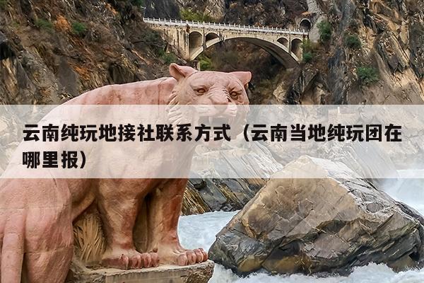云南纯玩地接社联系方式（云南当地纯玩团在哪里报）