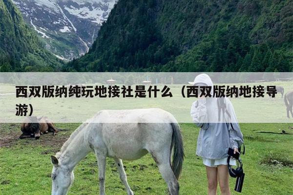 西双版纳纯玩地接社是什么（西双版纳地接导游）