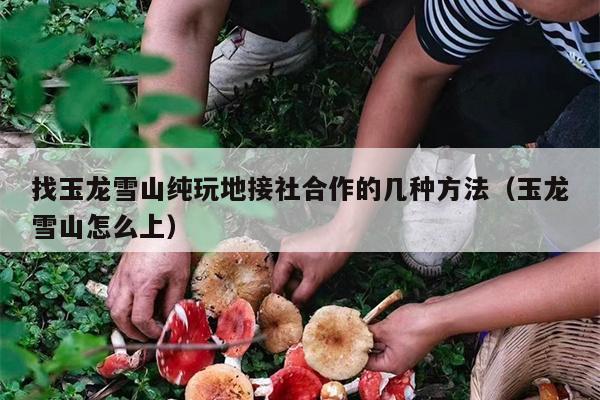 找玉龙雪山纯玩地接社合作的几种方法（玉龙雪山怎么上）
