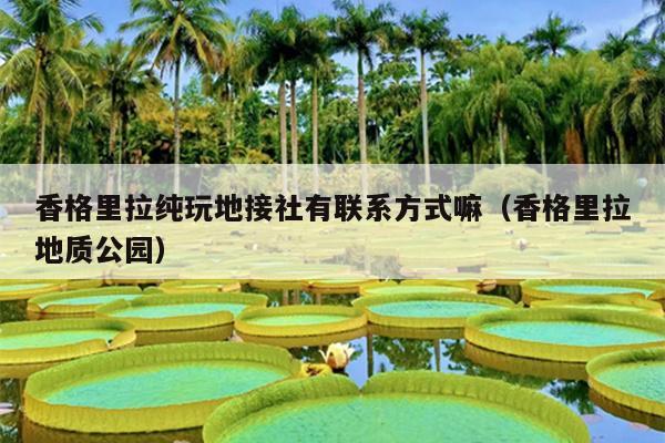 香格里拉纯玩地接社有联系方式嘛（香格里拉地质公园）