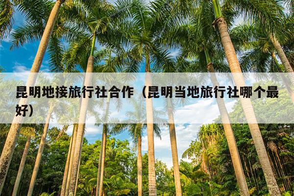 昆明地接旅行社合作（昆明当地旅行社哪个最好）