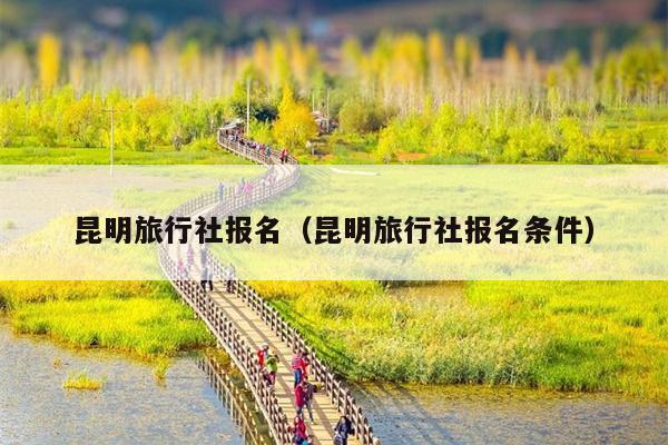 昆明旅行社报名（昆明旅行社报名条件）