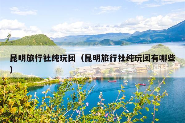 昆明旅行社纯玩团（昆明旅行社纯玩团有哪些）
