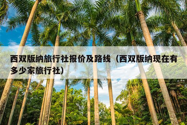 西双版纳旅行社报价及路线（西双版纳现在有多少家旅行社）