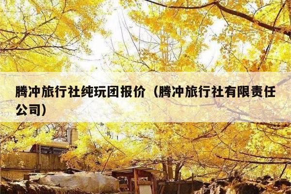 腾冲旅行社纯玩团报价（腾冲旅行社有限责任公司）