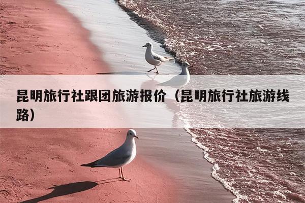 昆明旅行社跟团旅游报价（昆明旅行社旅游线路）