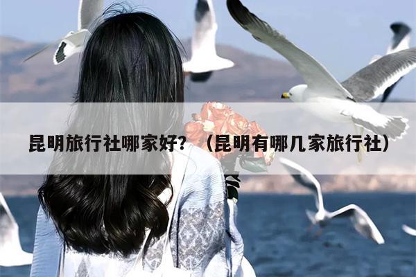 昆明旅行社哪家好？（昆明有哪几家旅行社）
