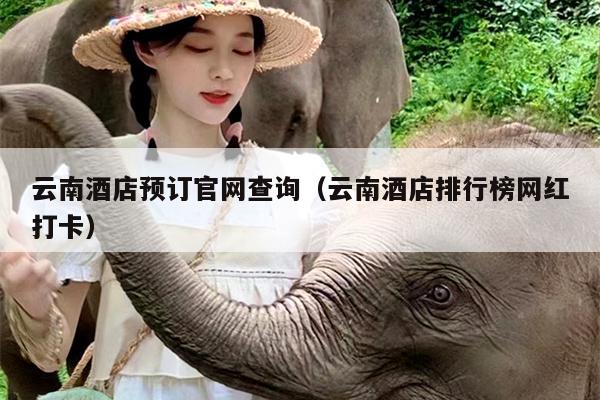 云南酒店预订官网查询（云南酒店排行榜网红打卡）