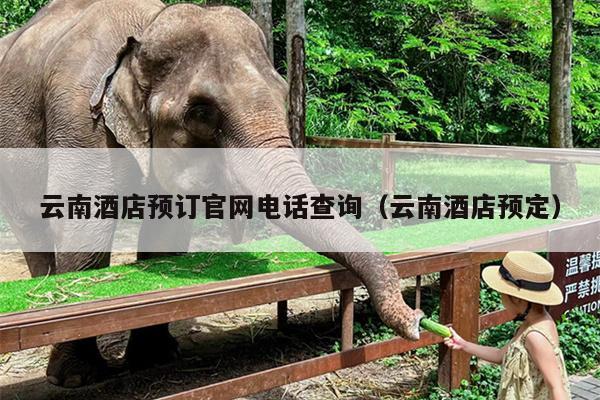 云南酒店预订官网电话查询（云南酒店预定）