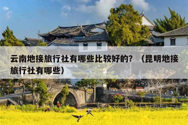 云南地接旅行社有哪些比较好的？（昆明地接旅行社有哪些）