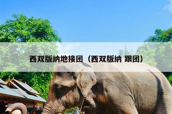 西双版纳地接团（西双版纳 跟团）