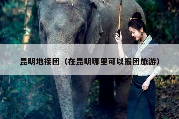 昆明地接团（在昆明哪里可以报团旅游）
