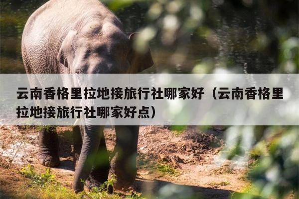 云南香格里拉地接旅行社哪家好（云南香格里拉地接旅行社哪家好点）