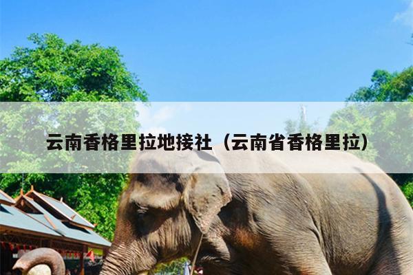 云南香格里拉地接社（云南省香格里拉）