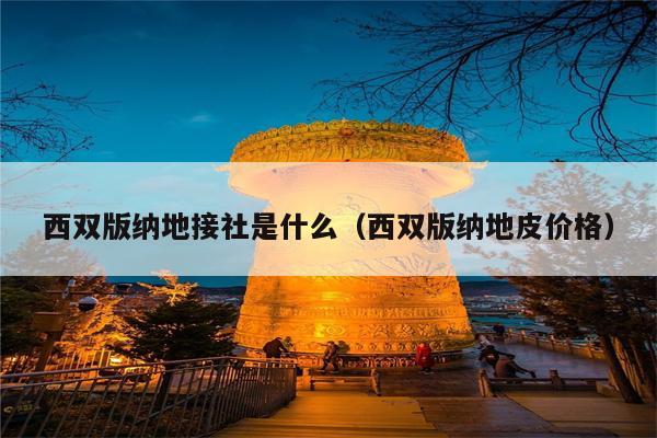 西双版纳地接社是什么（西双版纳地皮价格）