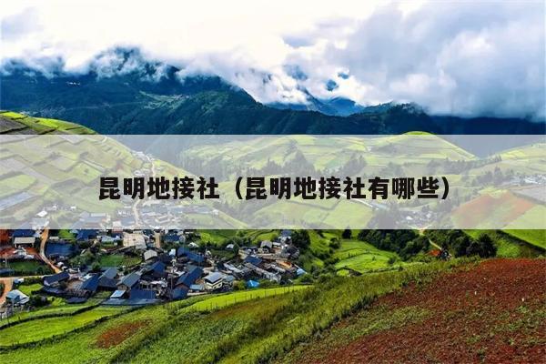 昆明地接社（昆明地接社有哪些）