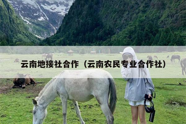 云南地接社合作（云南农民专业合作社）