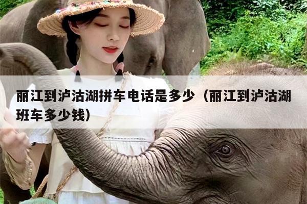 丽江到泸沽湖拼车电话是多少（丽江到泸沽湖班车多少钱）