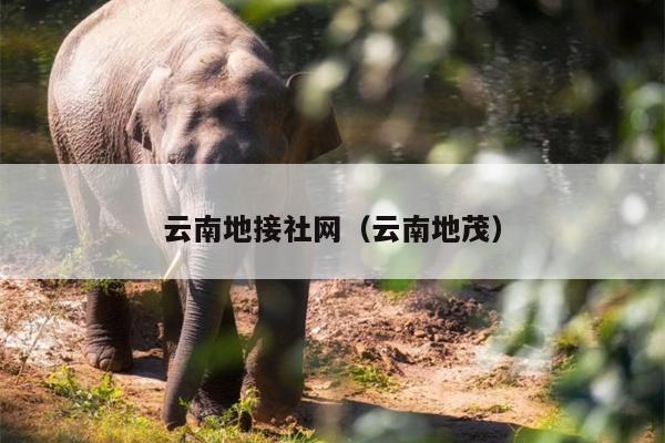 云南地接社网（云南地茂）