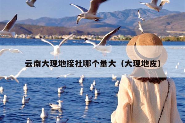 云南大理地接社哪个量大（大理地皮）