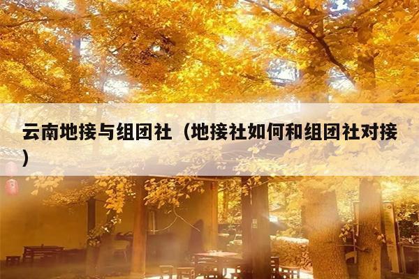 云南地接与组团社（地接社如何和组团社对接）