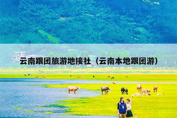 云南跟团旅游地接社（云南本地跟团游）