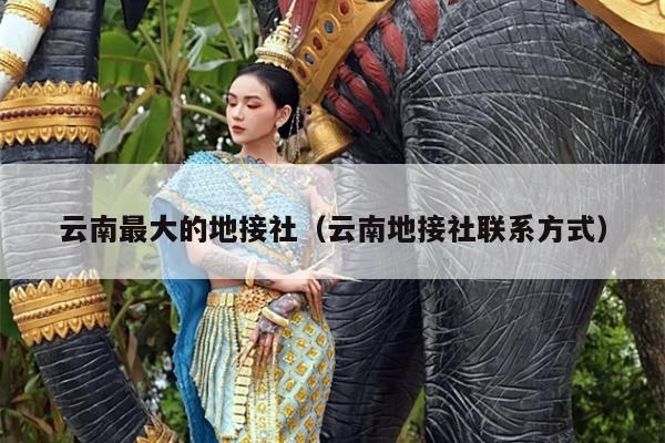 云南最大的地接社（云南地接社联系方式）