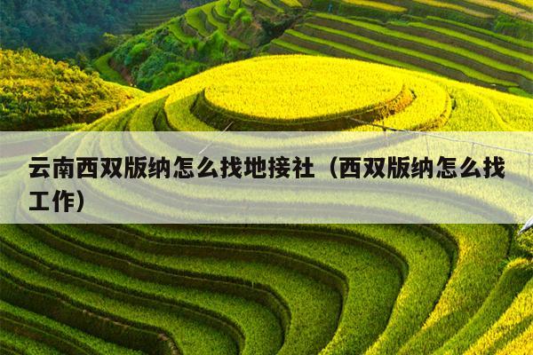 云南西双版纳怎么找地接社（西双版纳怎么找工作）