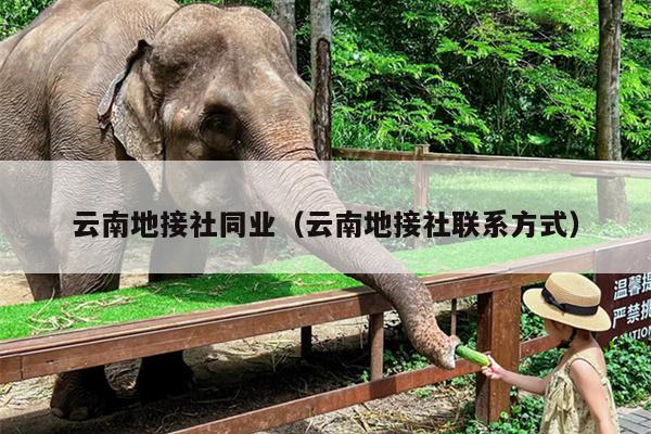 云南地接社同业（云南地接社联系方式）