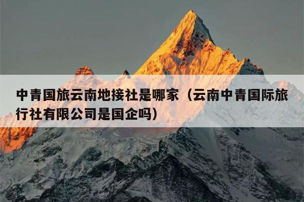 中青国旅云南地接社是哪家（云南中青国际旅行社有限公司是国企吗）