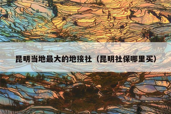 昆明当地最大的地接社（昆明社保哪里买）