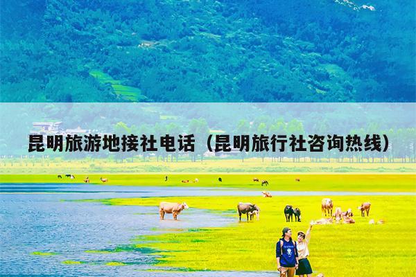 昆明旅游地接社电话（昆明旅行社咨询热线）