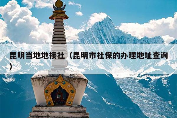 昆明当地地接社（昆明市社保的办理地址查询）