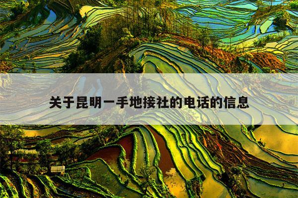关于昆明一手地接社的电话的信息