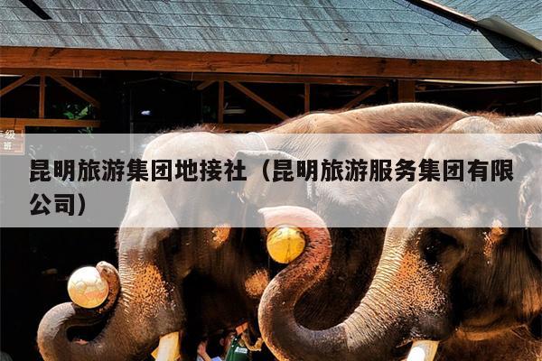 昆明旅游集团地接社（昆明旅游服务集团有限公司）