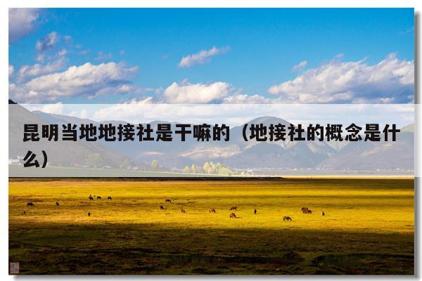 昆明当地地接社是干嘛的（地接社的概念是什么）
