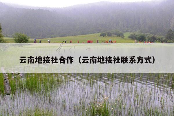 云南地接社合作（云南地接社联系方式）