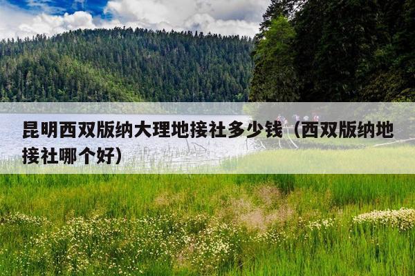 昆明西双版纳大理地接社多少钱（西双版纳地接社哪个好）